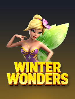 Winter Wonders