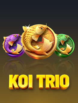 Koi Trio
