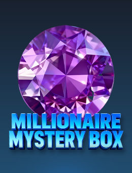 Millionaire Mystery Box