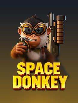 Space Donkey