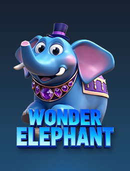 Wonder Elephant