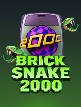 Brick Snake 2000