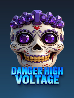 Danger High Voltage